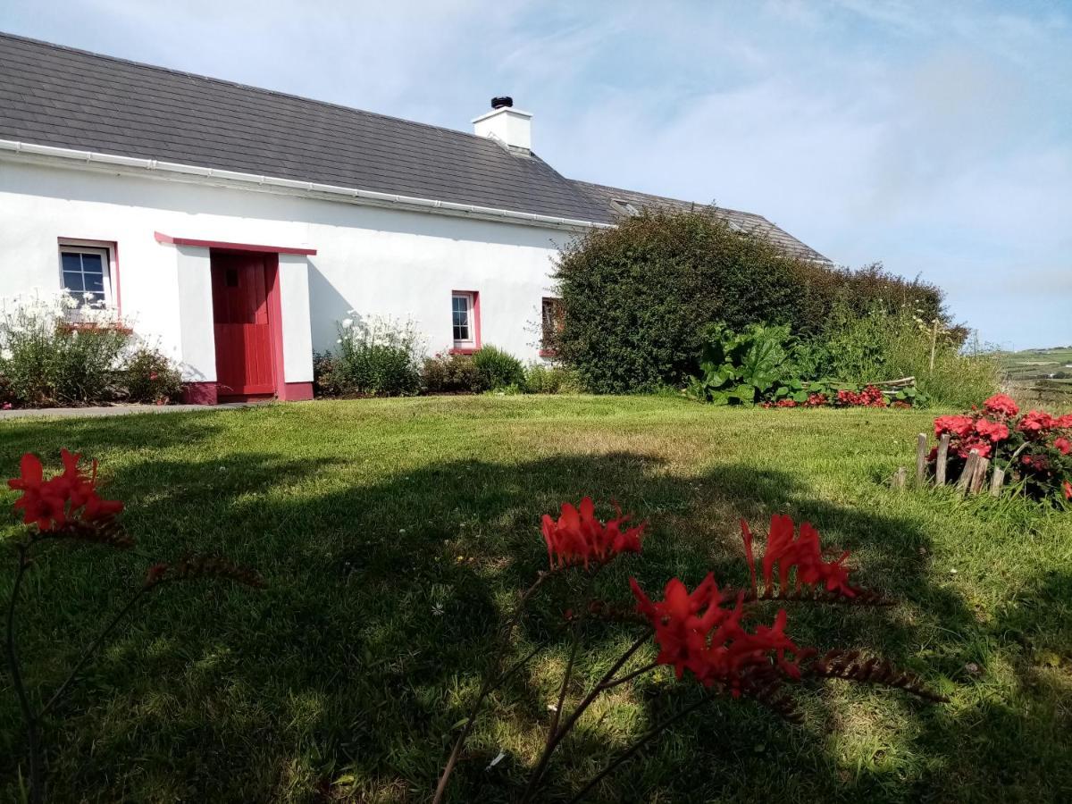 B&B The Red Door Cottage Donegal Town Zewnętrze zdjęcie