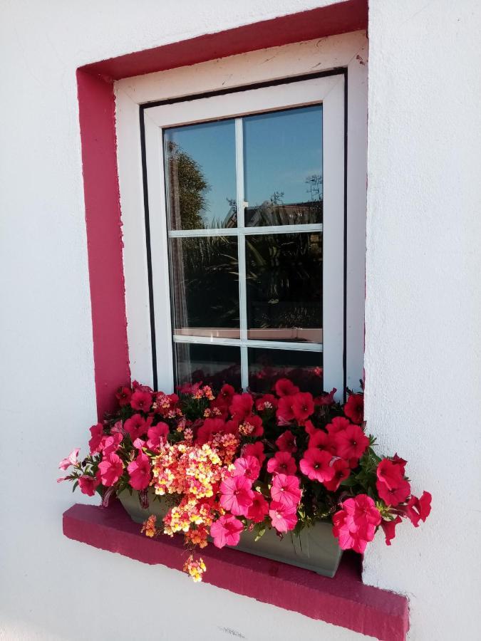 B&B The Red Door Cottage Donegal Town Zewnętrze zdjęcie